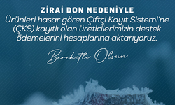 Üreticiye can suyu: Zirai Don zararları için ödemeler devam ediyor