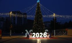 Nilüfer Yeni Yıl Festivali Başlıyor: Alışveriş, Gösteri ve Konserler Bir Arada