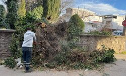 Bursa’da Fırtına Mesaisi: Büyükşehir Belediyesi Teyakkuzda