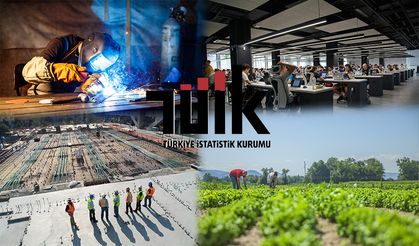 TÜİK: İşsizlik 2024’te Geriledi, İstihdam Arttı