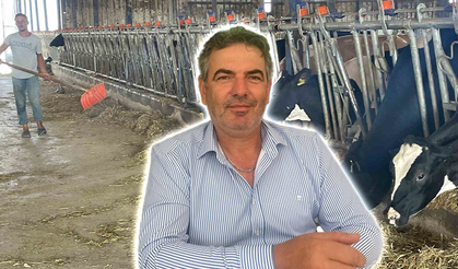 Süt Üreticilerinden "Yem Dayatması" Tepkisi: Rekabet Kurulu Kararı Umut Oldu