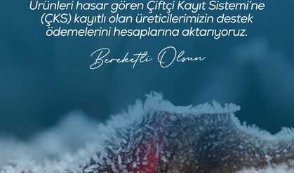 Üreticiye can suyu: Zirai Don zararları için ödemeler devam ediyor