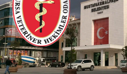 Bursa VHO’dan Mustafakemalpaşa Belediyesi’ne Sert Uyarı