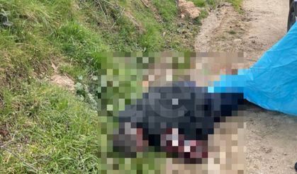 Mahmudiye’de Dehşet: Tartışma Can Aldı