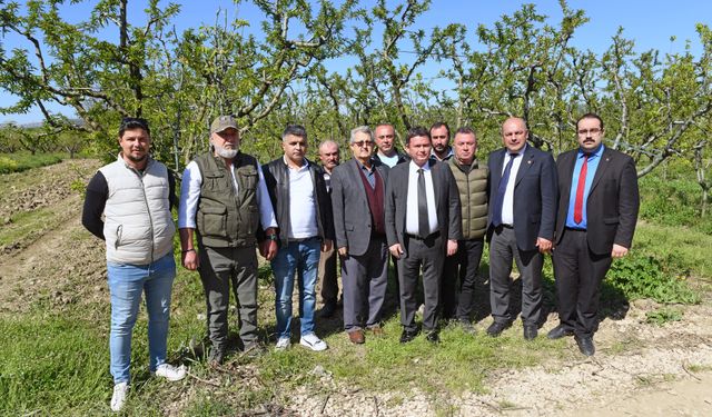 Başkan Aydın Zirai Don Mağduru Çiftçileri Yalnız Bırakmadı