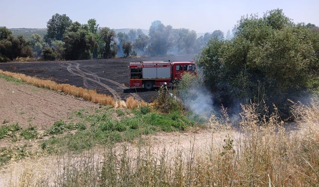 Arpa Tarlasında Yangın