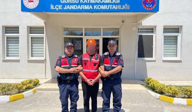 Gönüllü Gibi Davrandı, Suç Makinesi Olduğu Ortaya Çıktı!