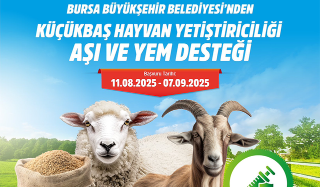 Bursa’da Küçükbaş Hayvancılığa Aşı ve Yem Desteği Başladı