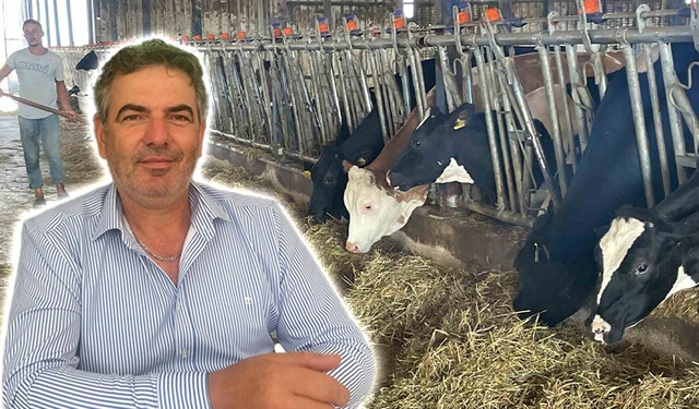 Süt Üreticilerinden "Yem Dayatması" Tepkisi: Rekabet Kurulu Kararı Umut Oldu