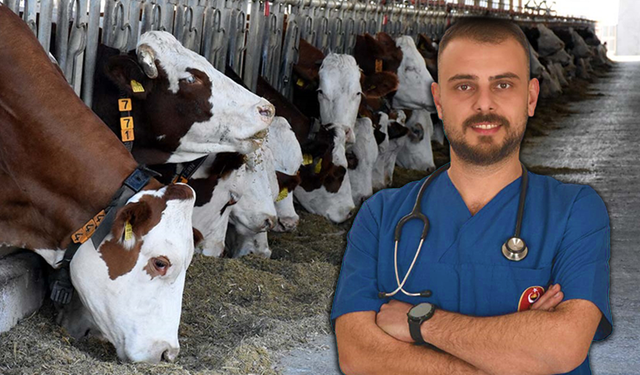 Veteriner Hekim Burak Gökmen’den Sert Çıkış: “Bu Kadar Üç Maymun Oynanmaz!”