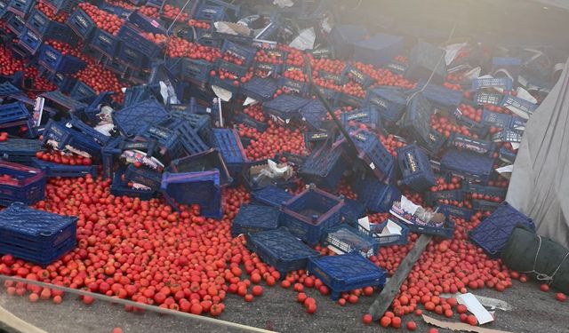 Balıkesir-Bursa Yolunda Domates Yüklü Tır Yan Yattı