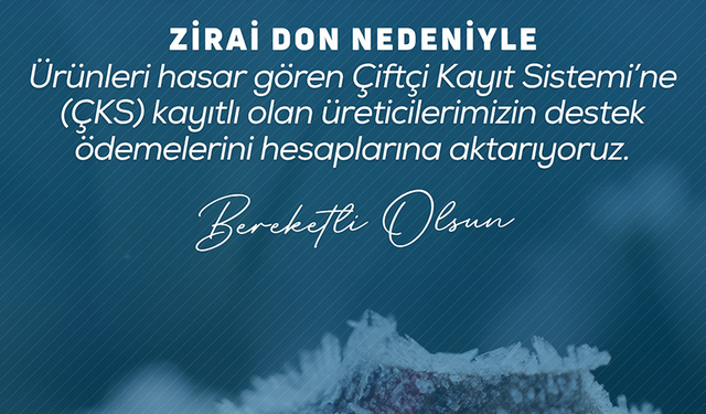 Üreticiye can suyu: Zirai Don zararları için ödemeler devam ediyor