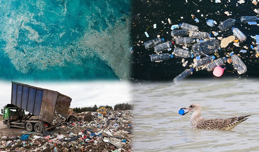 Plastik Kirliliğine Son Ver, Yaşamı Koru!