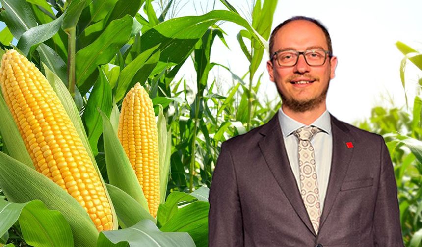 CHP Karacabey’den Sıfır Gümrük Tepkisi: “Çiftçiyi İthalatla Ezemezsiniz”