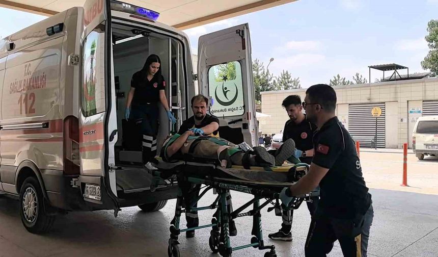 İş Yerinde Talihsiz Olay: Kerestelerin Üzerinden Düşüp Can Verdi