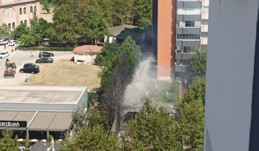 Nilüfer’de Korkutan Yangın: Ağaçlar Bir Anda Alev Aldı