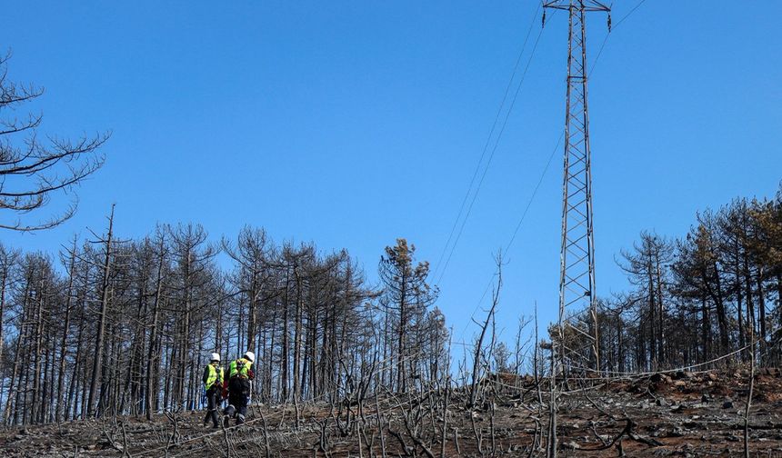 UEDAŞ, Yangın Sonrası Enerji Hattı Yenilemesine Başladı