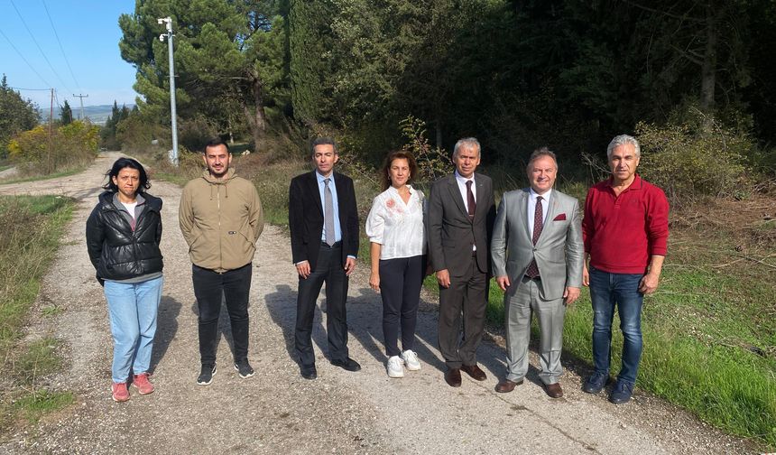 Bursa tarımına akademik bakış