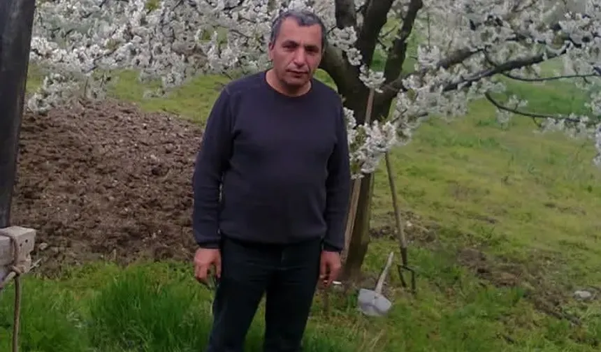 Ağaç Budama Kazası Can Aldı