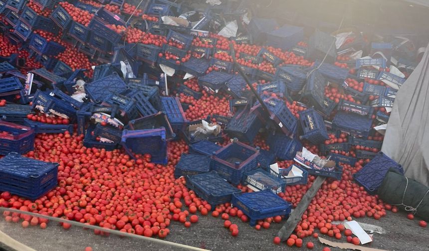 Balıkesir-Bursa Yolunda Domates Yüklü Tır Yan Yattı