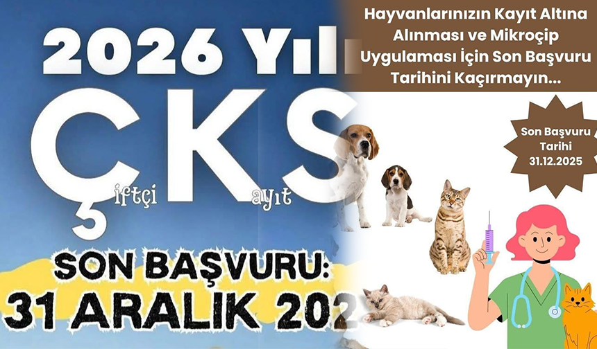 ÇKS ve Çipleme İşlemleri İçin Son Gün 31 Aralık