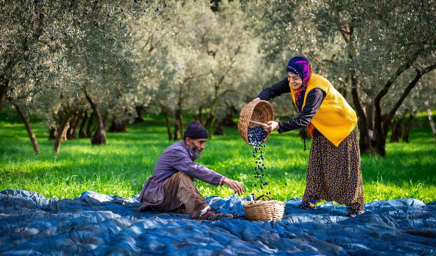 Gemlik’in Güzellikleri Objektiflere Yansıdı