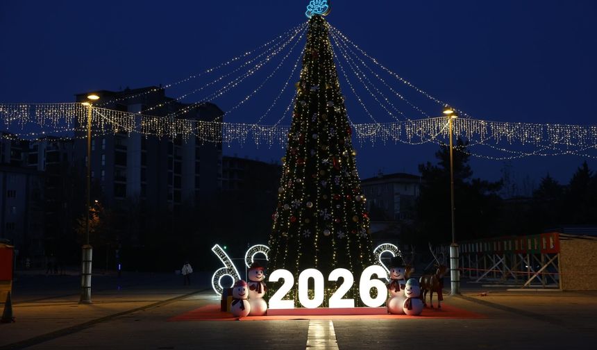 Nilüfer Yeni Yıl Festivali Başlıyor: Alışveriş, Gösteri ve Konserler Bir Arada