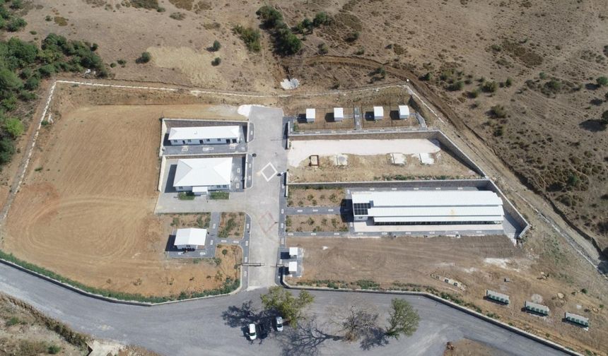 Orhangazi’de Sokak Hayvanları İçin Modern Rehabilitasyon Merkezi Açılıyor