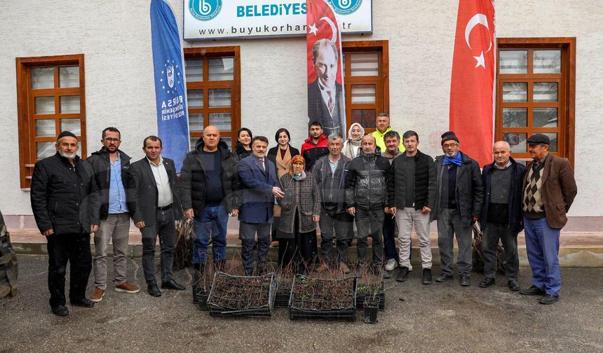 Bursa Büyükşehir’den Kırsala Tohum ve Fidan Desteği
