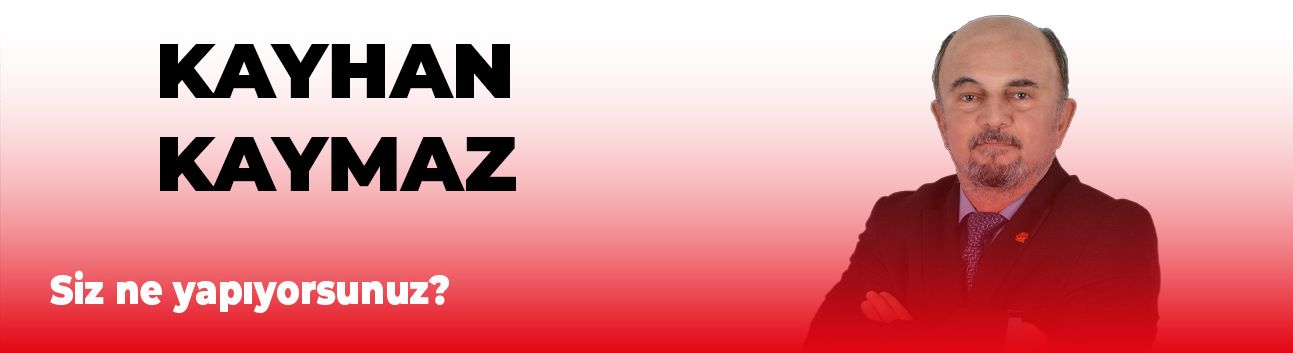 Siz ne yapıyorsunuz?